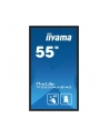 iiyama Monitor 55 cali TF5539AS-B1AG,IPS,4K,HDMIx2,DP,RJ45,3xUSB,2x10W,      ANDROID,24/7,IP65 - nr 18