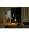 PHILIPS HUE Lightguide Żarówka Inteligentna G125 E27 (929003151202) - nr 6