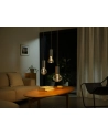 PHILIPS HUE Lightguide Żarówka Inteligentna G125 E27 (929003151202) - nr 18