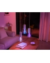 PHILIPS HUE Lightguide Żarówka Inteligentna, trójkątna E27 (929003151402) - nr 17