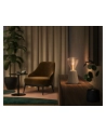 PHILIPS HUE Lightguide Żarówka Inteligentna, trójkątna E27 (929003151402) - nr 18