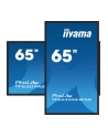 iiyama Monitor 65 cali TF6539AS-B1AG,IPS,4K,HDMIx2,DP,RJ45,3xUSB,2x10W,      ANDROID,24/7,IP65 - nr 32