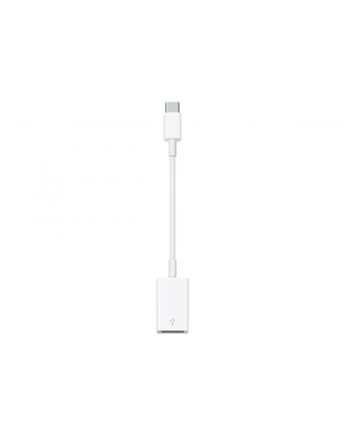 apple Przejściówka z USB-C na USB główny
