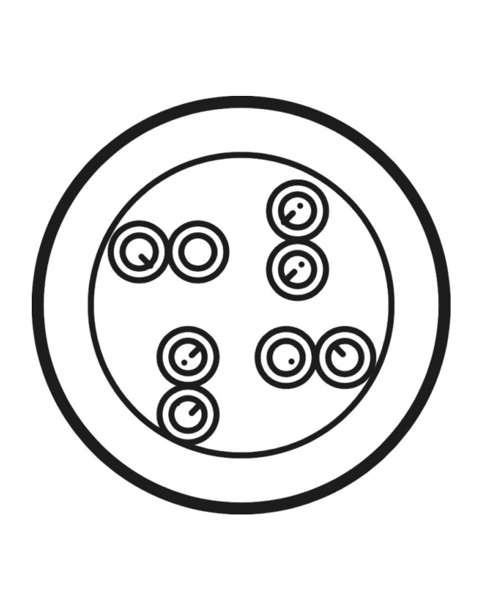 Goobay CAT 6 kabel sieciowy, U/UTP, biały 100 m główny