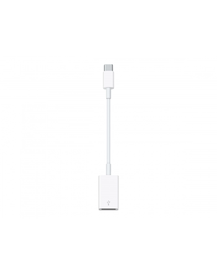 apple Przejściówka z USB-C na USB główny