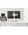 neomounts MONITOR D-ESK MOUNT 10-30''; NM-D135WHITE NEWSTAR - nr 13