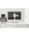 neomounts MONITOR D-ESK MOUNT 10-30''; NM-D135WHITE NEWSTAR - nr 12