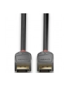 CABLE DISPLAY PORT 10M/ANTHRA 36486 LINDY - nr 2