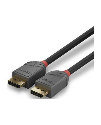 CABLE DISPLAY PORT 10M/ANTHRA 36486 LINDY nr 2