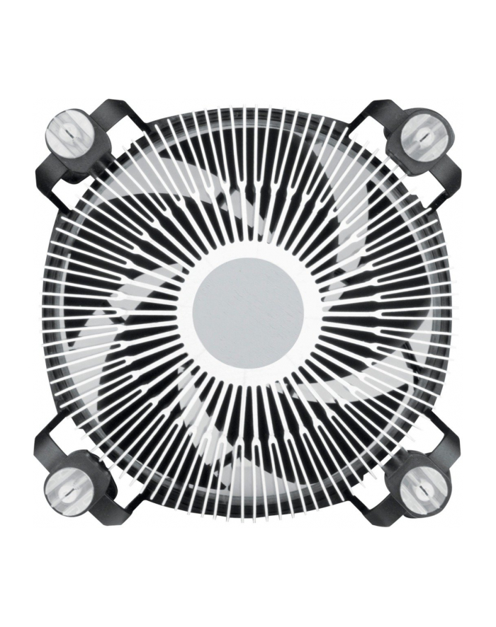 arctic cooling CPU COOLER S1700/ACALP00041A ARCTIC główny