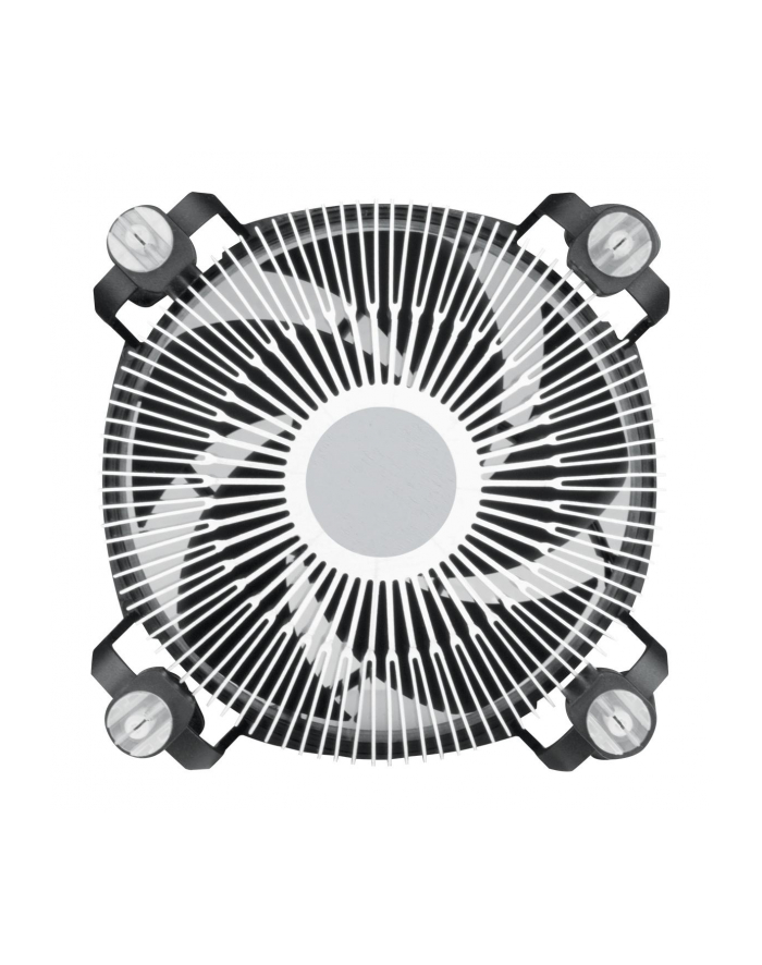 arctic cooling CPU COOLER S1700/ACALP00041A ARCTIC główny