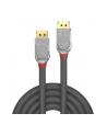 CABLE DISPLAY PORT 2M/CROMO 36302 LINDY - nr 2