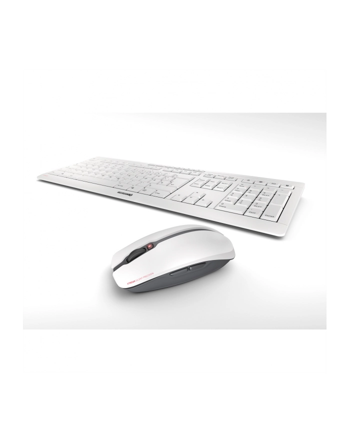 CHERRYSTREAMD-ESKTOP D-E LAYOUT/KBD AND MOUSE SET USB PALE GREY główny