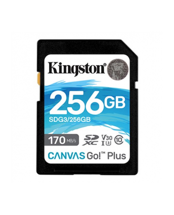 MEMORY SDXC 256GB UHS-I/SDG3/256GB KINGSTON