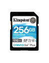 MEMORY SDXC 256GB UHS-I/SDG3/256GB KINGSTON - nr 1