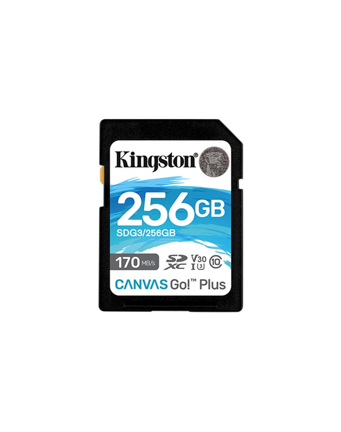 MEMORY SDXC 256GB UHS-I/SDG3/256GB KINGSTON główny