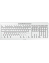 CHERRYSTREAMD-ESKTOP D-E LAYOUT/KBD AND MOUSE SET USB PALE GREY - nr 12