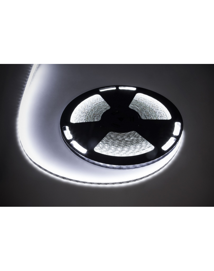 Sznur diodowy 25m Rebel (1500x5050 SMD) zimny biały wodoodporny, 12V główny