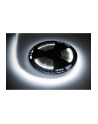 sznur diodowy 25m Rebel (1500x5050 SMD) zimny biały, 12V - nr 1