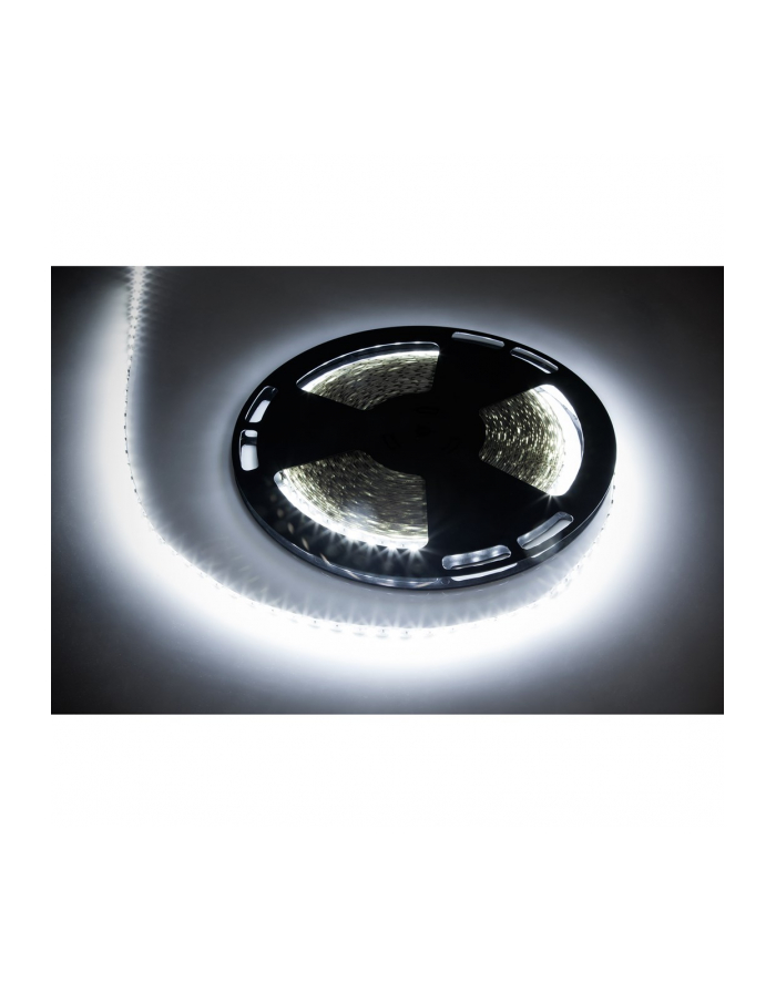 sznur diodowy 25m Rebel (1500x5050 SMD) zimny biały, 12V główny