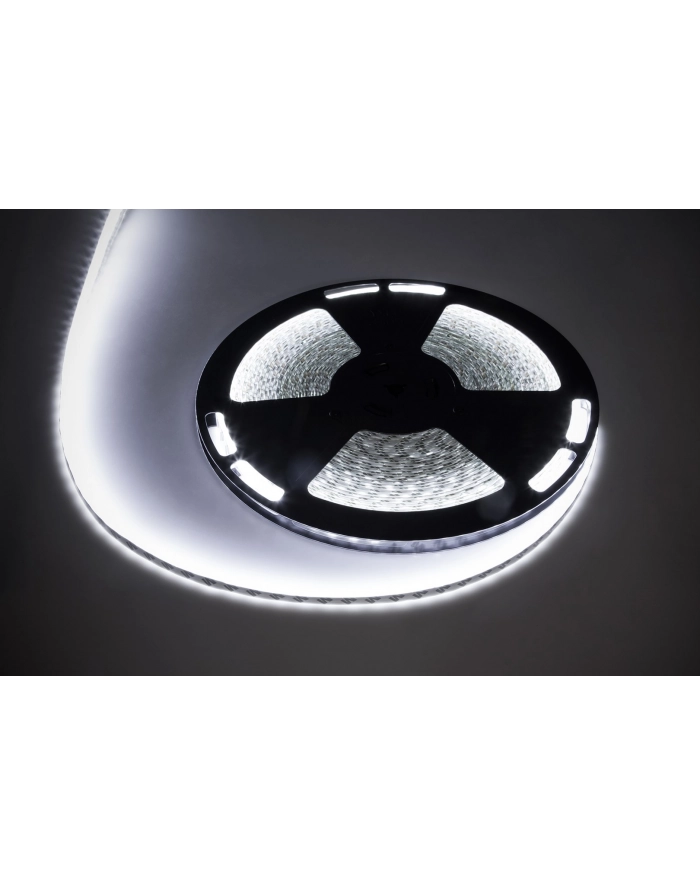 Sznur diodowy 25m Rebel (1500x5050 SMD) zimny biały wodoodporny, 12V główny