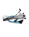 Broadcom CBL-SFF8643-08M 0,8 m Czarny, Niebieski, Srebrny - nr 3