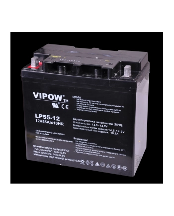 Akumulator żelowy VIPOW 12V 55Ah nr 1