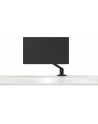 D-ELL SINGLE ARM MONITOR - MSA20 - nr 19