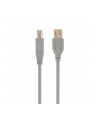 KABEL USB2 AM-BM 18M GRAY CCP-USB2-AMBM-6G GEMBIRD - nr 1