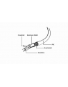 KABEL USB-C TO USB2 3M CCP-USB2-AMCM-10 GEMBIRD - nr 6