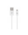 Kabel USB 20 (AM/8-pin lightning M) 1m biały Gembird - nr 1