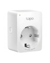 TP-Link TAPO P100( 1 x gniazdo sieciowe 2990 W - nr 21