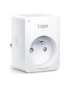 TP-Link TAPO P100( 1 x gniazdo sieciowe 2990 W - nr 24