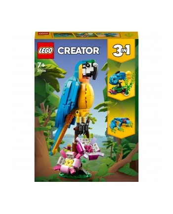LEGO 31136 CREATOR Egzotyczna papuga p6 nr 1