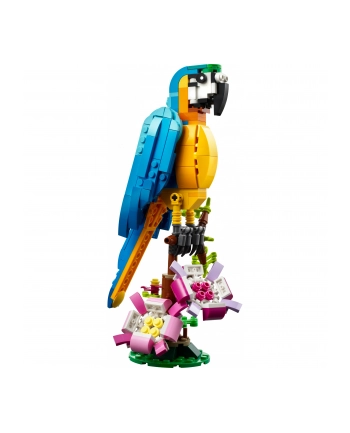 LEGO 31136 CREATOR Egzotyczna papuga p6 nr 2