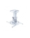 techly Uchwyt do Projektora Sufitowy 22cm 10kg Biały Regulowany - nr 1