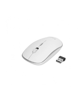 MYSZ USB OPTICAL WRL WHITE MUSW-4B-01-W GEMBIRD