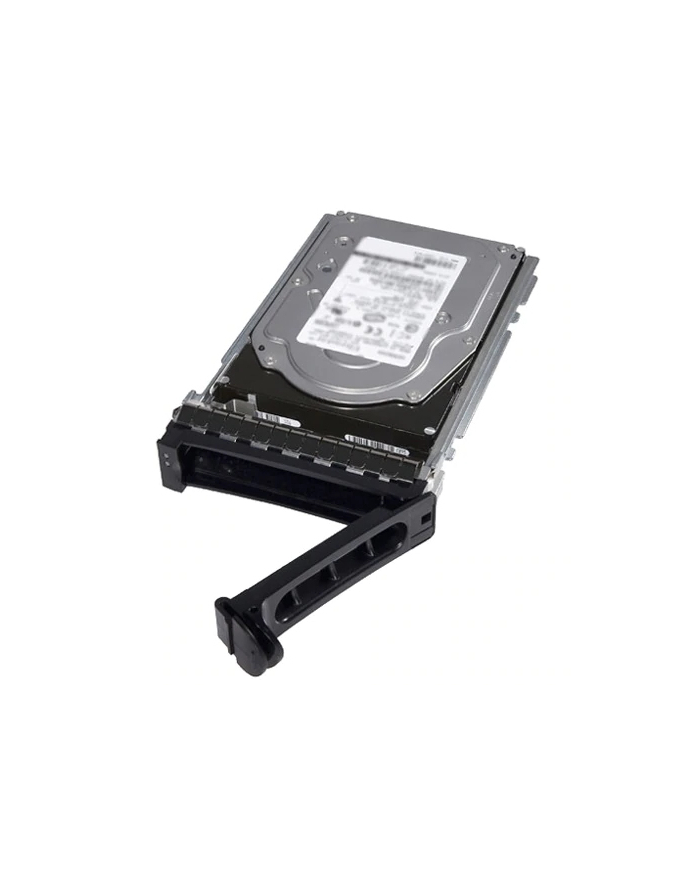 Dysk SSD Dell 2,5''; / 960 GB / NVMe / RI / U2 Gen4 / Hot-Plug / 15G | Dolina główny