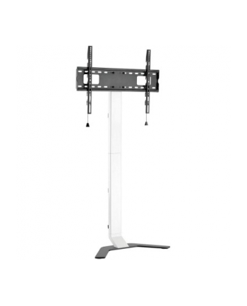 techly Stojak Podłogowy Slim TV LCD/LED 32-70 CALI 40KG Regulowany