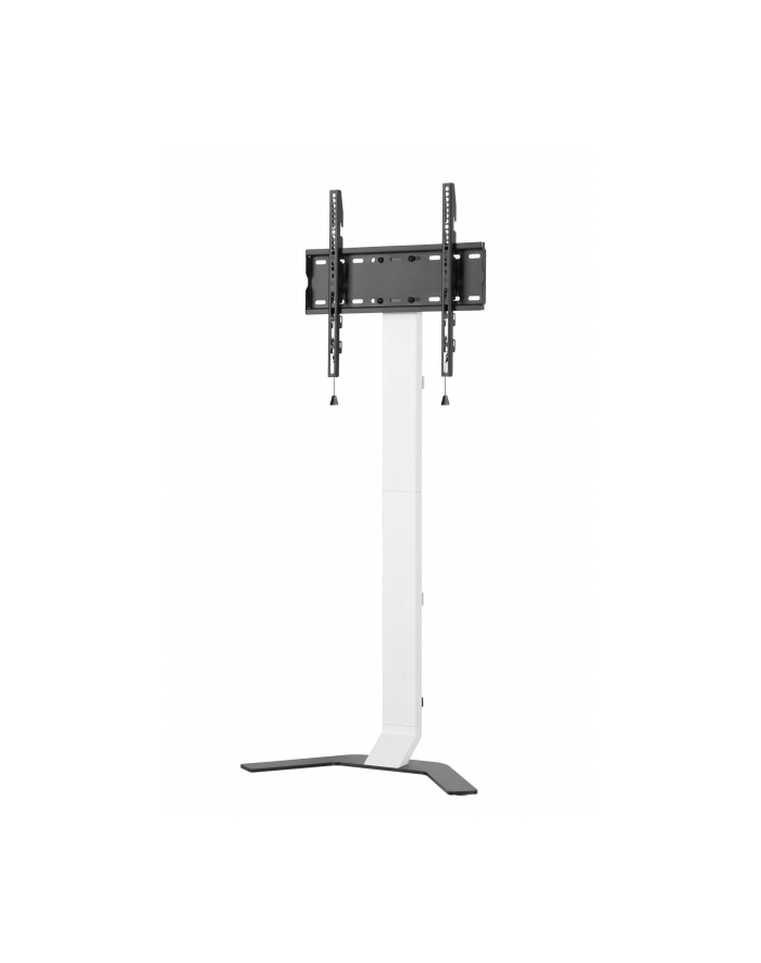 techly Stojak Podłogowy Slim TV LCD/LED 32-70 CALI 40KG Regulowany główny
