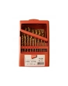 makita ZESTAW WIERTEŁ TYTAN HSS-G TIN 25szt 1-13mm - nr 1