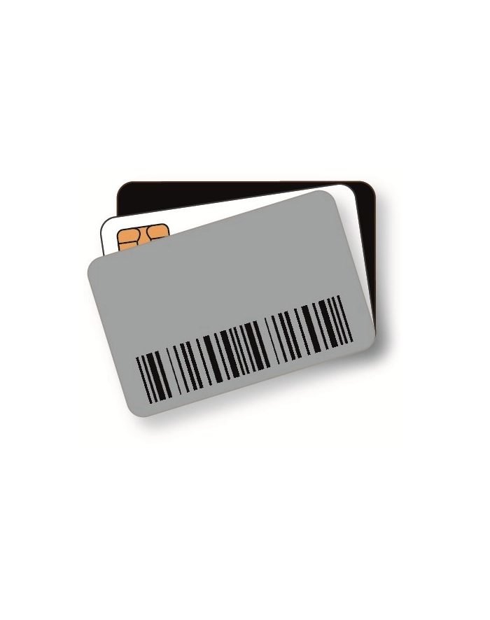 zebra CARD PVC 30 MIL MIFARE 1K CLASS/ główny