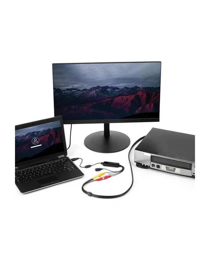 startech USB VID-EO CAPTURE ADAPTER/S VID-EO/COMPOSITE TO USB ADAPTER główny