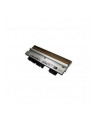 zebra Printhead, 300dpi (Thermal Transfer) - nr 3