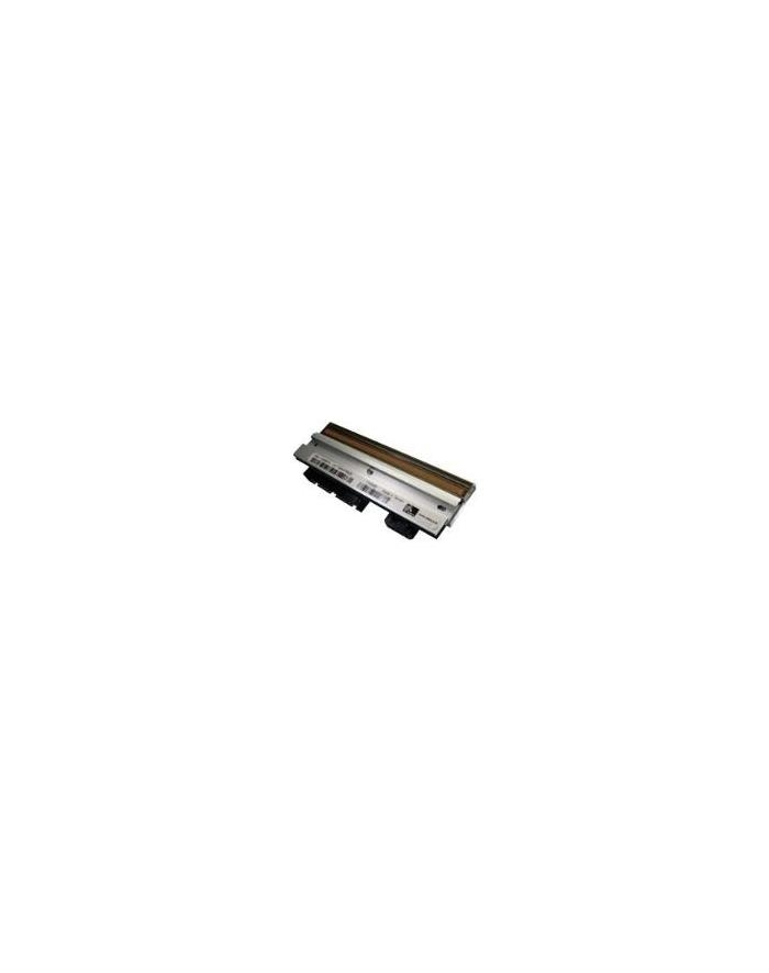 zebra Printhead, 300dpi (Thermal Transfer) główny