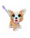 hasbro *****FRR Interaktywny piesek Corgi 28057 - nr 1