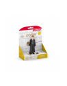 Schleich 42634 Ron Weasley 'amp; Parszywek - nr 6