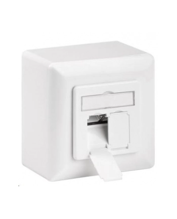 Premiumcord Cat 6A Class Ea Síťová Zásuvka Na/Pod Omítku 2X Rj45 (44431)