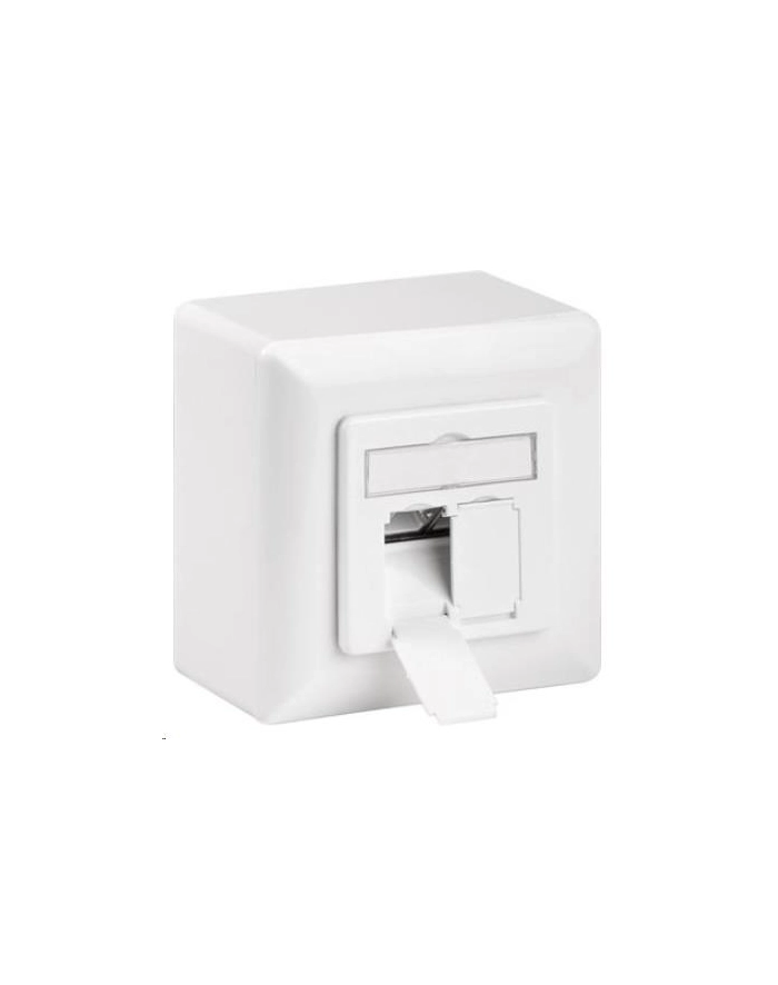 Premiumcord Cat 6A Class Ea Síťová Zásuvka Na/Pod Omítku 2X Rj45 (44431) główny