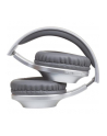 panasonic Słuchawki RB-HX220BD-ES srebrne - nr 16